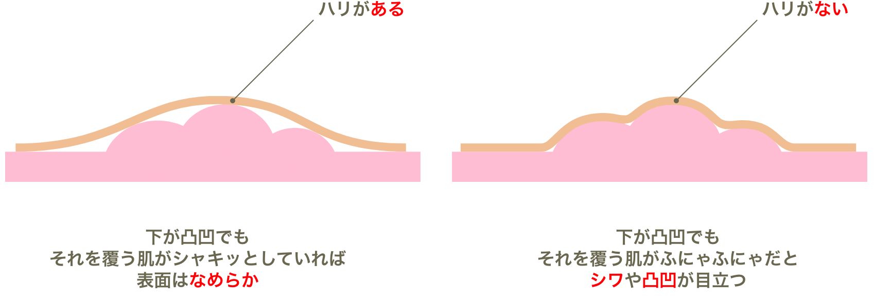 ハリのある肌とハリのない肌の表面のなめらかさの違いの図