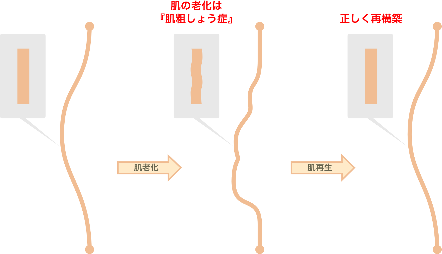 肌粗しょう症を再構築の流れの図